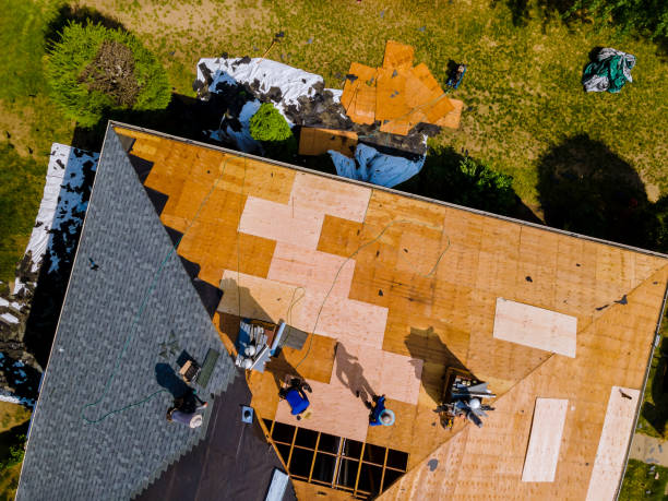 Best Commercial Roofing Services  in Ste Genevieve, MO